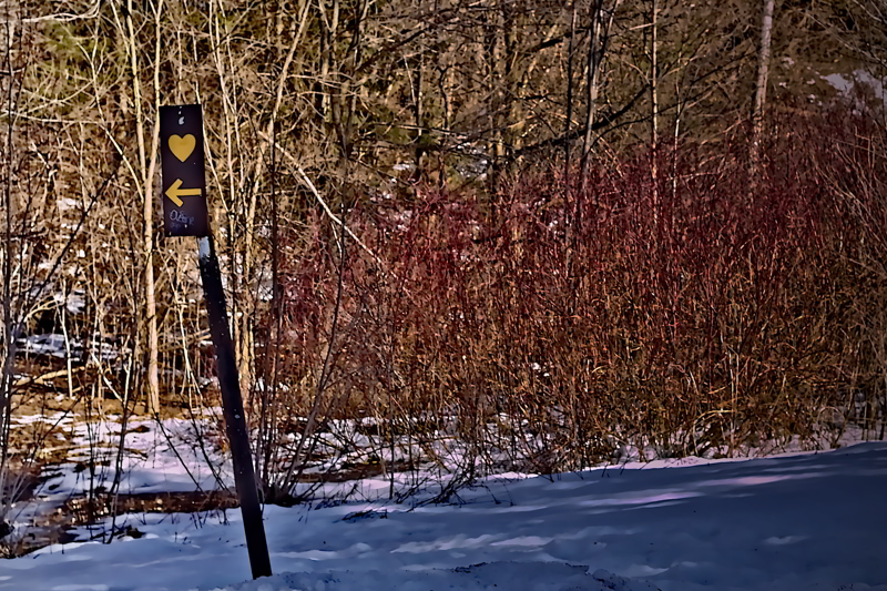 Instinctive Choice of an Arrow- 00.jpg